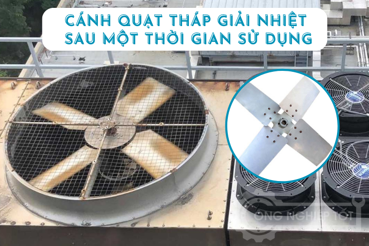Hãy vệ sinh, kiểm tra cánh quạt thường xuyên